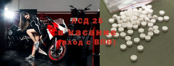 ПСИЛОЦИБИНОВЫЕ ГРИБЫ Алексеевка