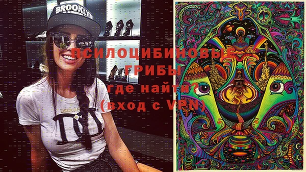ПСИЛОЦИБИНОВЫЕ ГРИБЫ Алексеевка