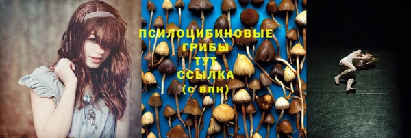 ПСИЛОЦИБИНОВЫЕ ГРИБЫ Алексеевка