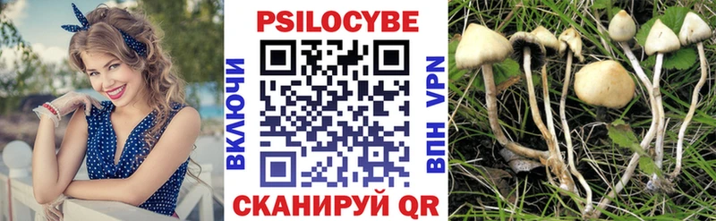 Псилоцибиновые грибы мухоморы Купить где Бронницы
